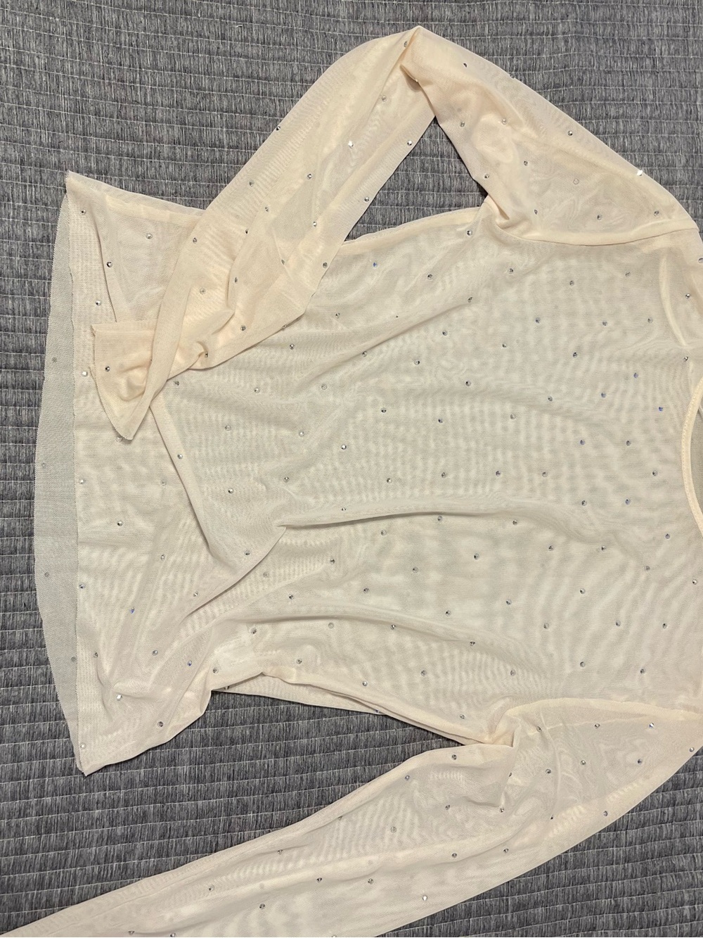 Sheer Embellished Long Sleeve in Pale Cream festival top
